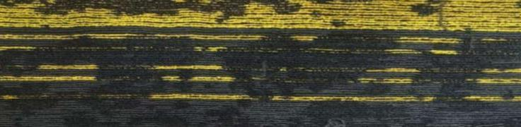 Belgrade-107 Carpet Tiles